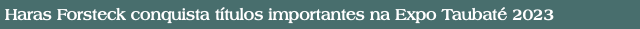 Haras Forsteck conquista títulos importantes na Expo Taubaté 2023