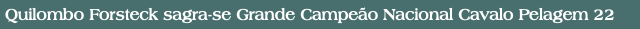 Quilombo Forsteck sagra-se Grande Campeão Nacional Cavalo Pelagem 22
