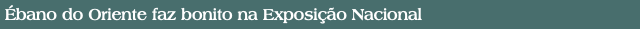 Ébano do Oriente faz bonito na Exposição Nacional