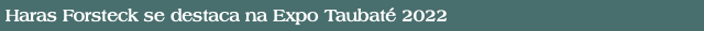 Haras Forsteck se destaca na Expo Taubaté 2022